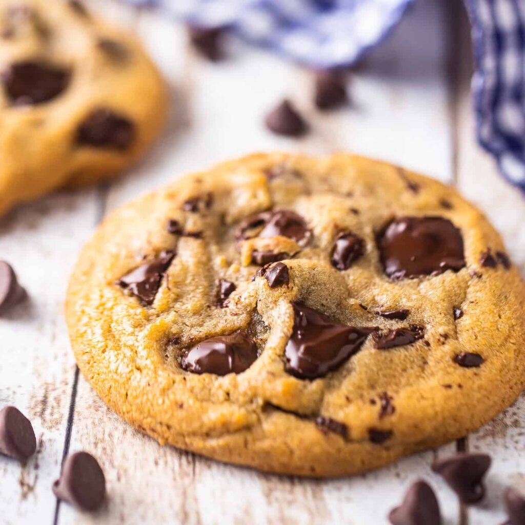 Chocolate Chip Cookie